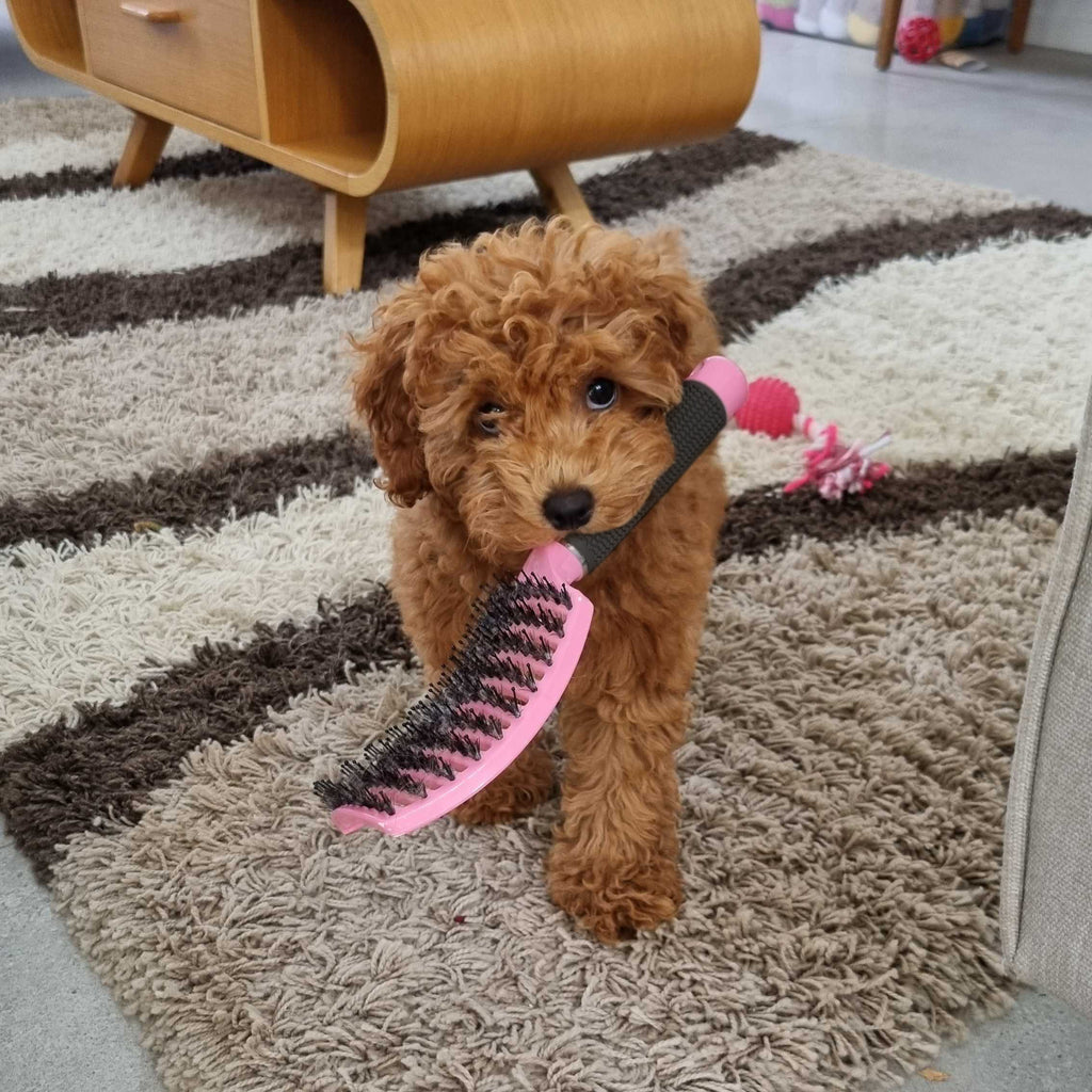 Pet hair Brush for Dogs