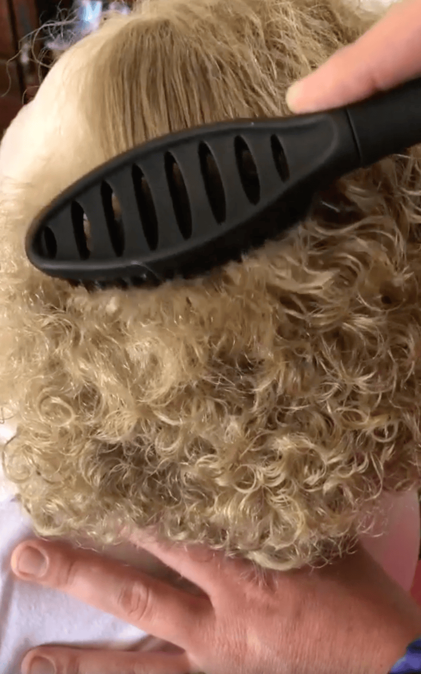 <h2>See the Magic Happen</h2>