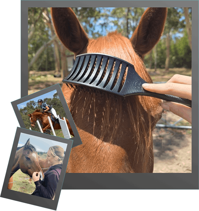 Happy Horse Brush – Pain-Free Detangling for Manes & Forelocks – Happy ...